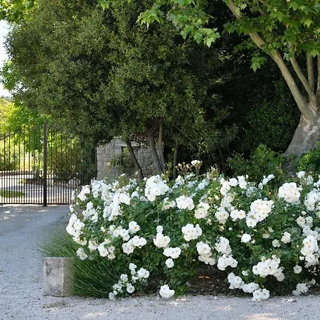 Hotel Les Mazets De Marie De Jules 4*
